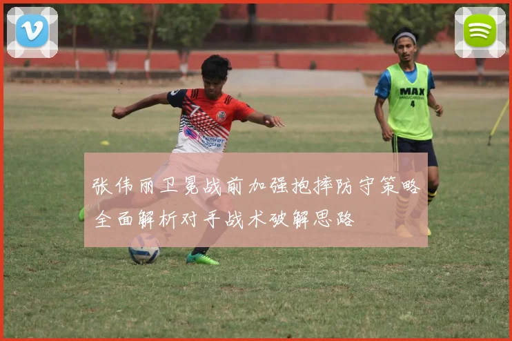 张伟丽卫冕战前加强抱摔防守策略全面解析对手战术破解思路