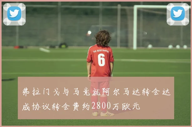 弗拉门戈与马竞就阿尔马达转会达成协议转会费约2800万欧元